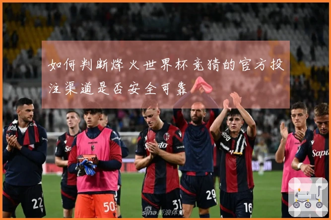 如何判断烽火世界杯竞猜的官方投注渠道是否安全可靠