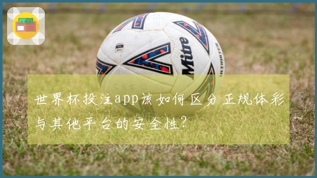 世界杯投注app该如何区分正规体彩与其他平台的安全性？