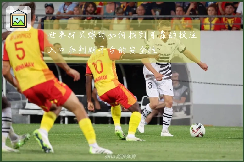 世界杯买球时如何找到可靠的投注入口和判断平台的安全性